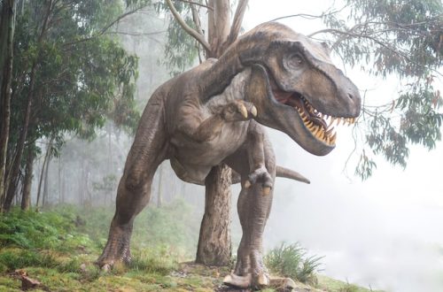 dinozaur