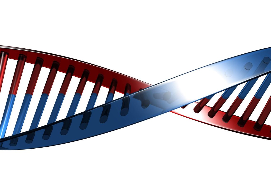 dna biologia niekończąca się opowieść