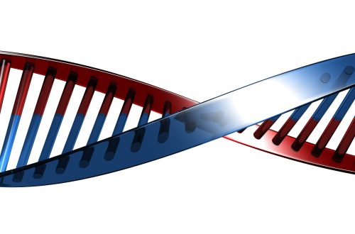 dna biologia niekończąca się opowieść