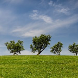 Ochrona środowiska naturalnego jest bardzo ważna