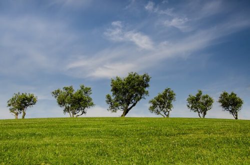 Ochrona środowiska naturalnego jest bardzo ważna