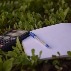 Kalkulator z notatnikiem i długopisem w trawie